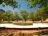 Luis Muñoz Rivera Park - SAN JUAN